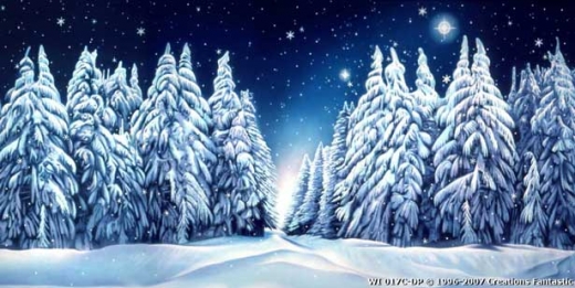 Winter Wonderland Event backdrop image