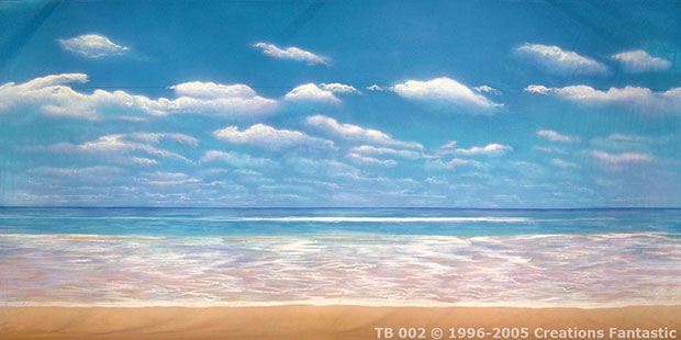 Tropical Beach backdrop image