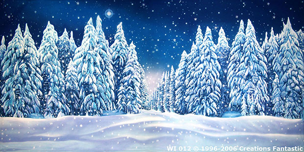 Winter Wonderland Event backdrop image