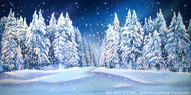 Winter Wonderland Event Backdrop image