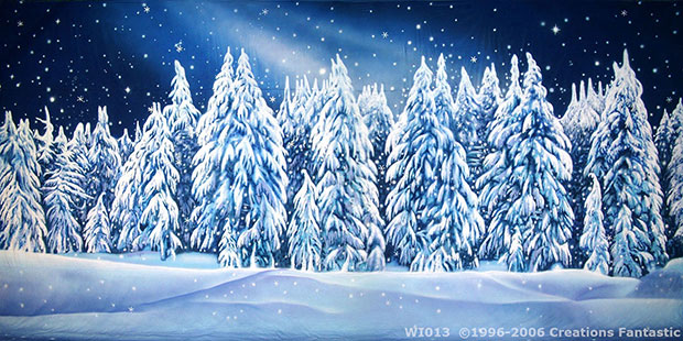 Winter Wonderland Event backdrop image