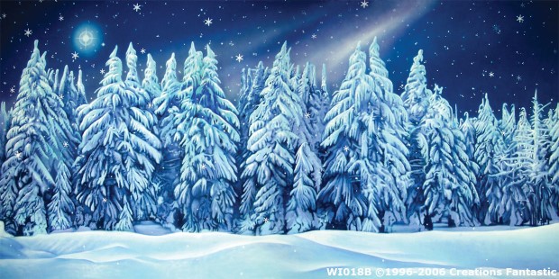 Winter Wonderland Event Backdrop image