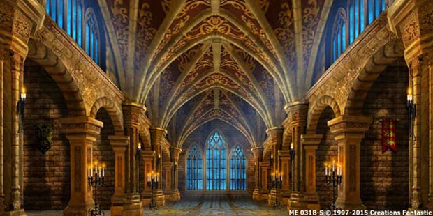 Gothic Castle Interior image
