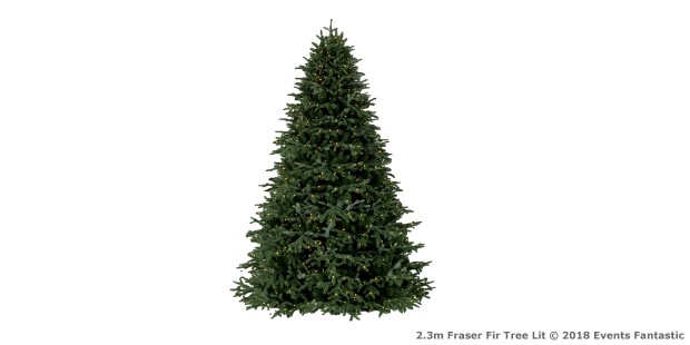 Christmas Tree 2.3m Fraser Fir