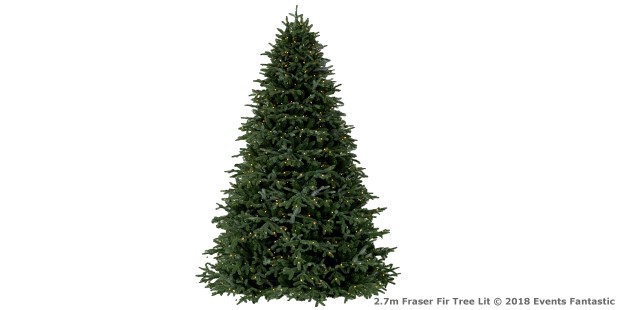 Christmas Tree 2.7m Fraser Fir