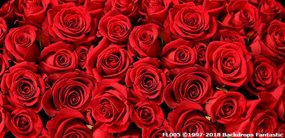 Red Roses images