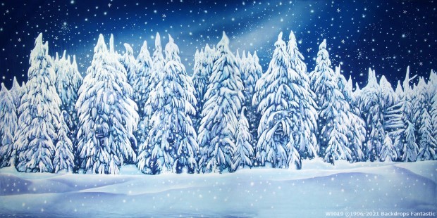 Winter Wonderland Snow Scene