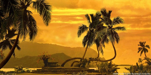 South Pacific Sunset Scene with Palm Trees