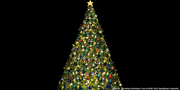 Growing Christmas Tree Backdrop