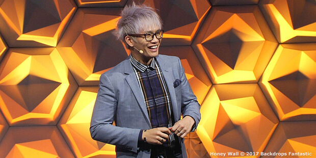 A person with white hair and glasses stands smiling in front of an illuminated honeycomb-patterned backdrop, wearing a light blue blazer over a plaid shirt. Text in the corner reads: Honey Wall © 2017 Backdrops Fantastic, from our Modular Category Slider collection.